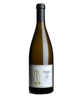 Dão Quinta da Pellada Primus Branco 2011 (Alvaro Castro)