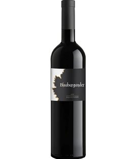 Maienfelder Pinot Noir AOC 2016