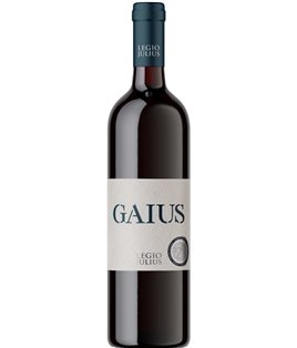 Gaius Vdp 2021 (Legio Vallis Julius)