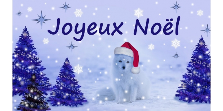 Joyeuses Fêtes