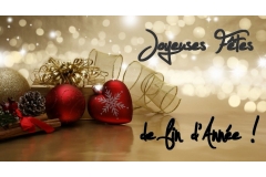 Joyeuses Fêtes de fin d'Année !